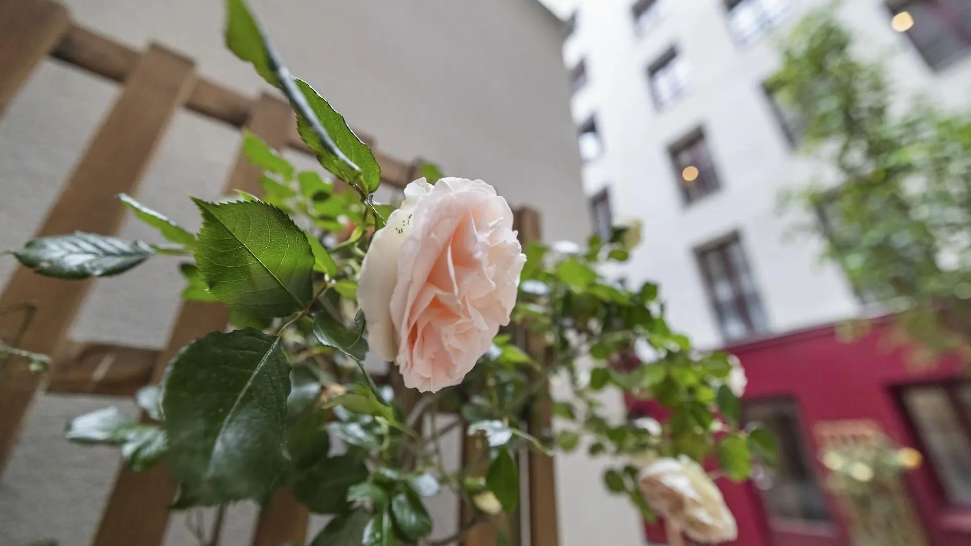 Apartament Chiquito Paryż